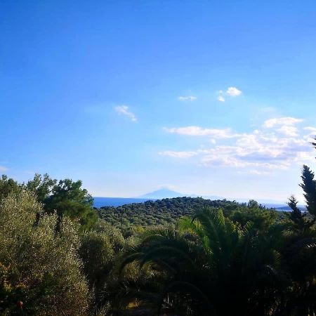 Апартаменти Thasos Seaside Serenity - Seaview & Garden Nests Астріс Екстер'єр фото