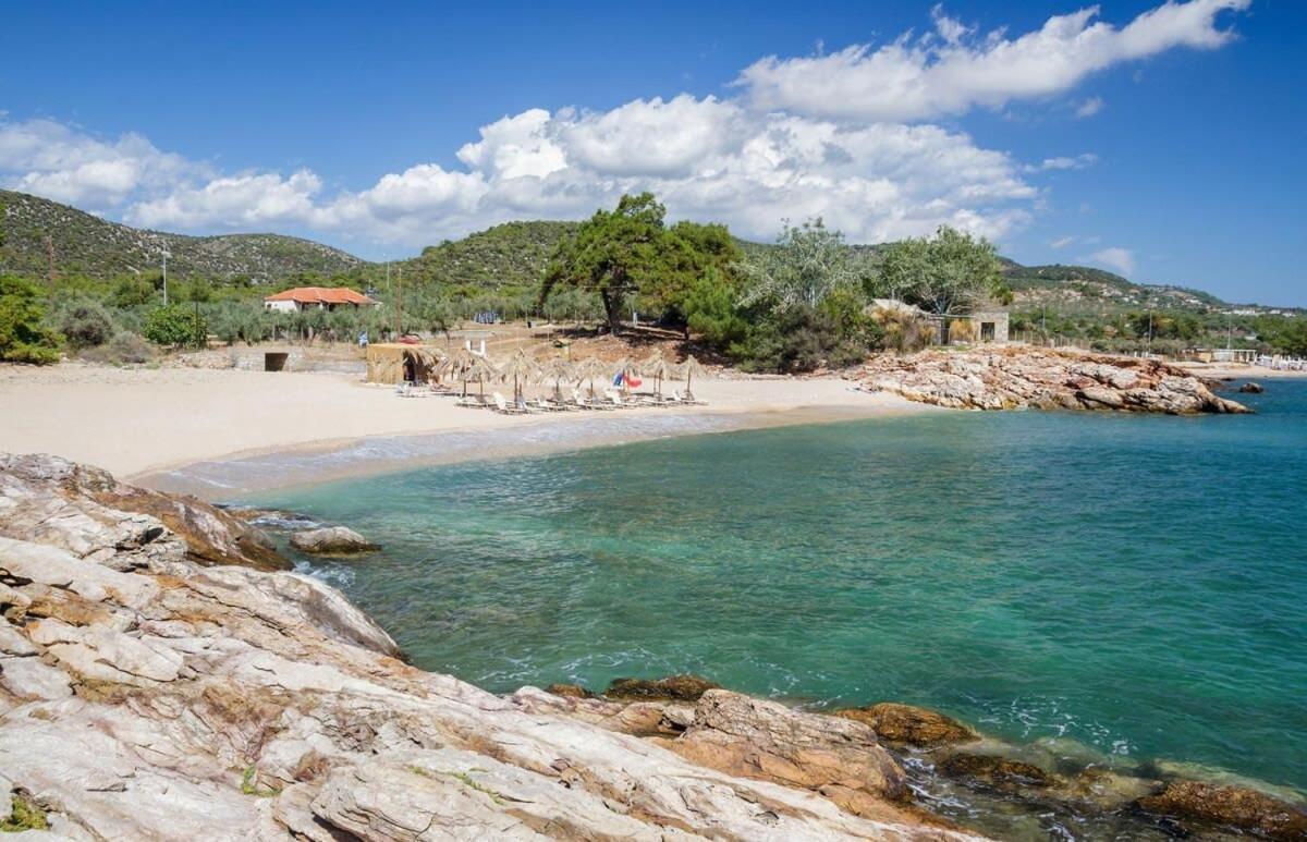 Апартаменти Thasos Seaside Serenity - Seaview & Garden Nests Астріс Екстер'єр фото