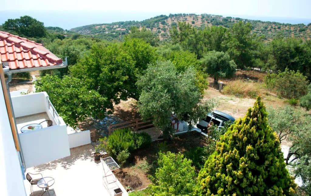 Апартаменти Thasos Seaside Serenity - Seaview & Garden Nests Астріс Екстер'єр фото